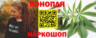 шишки Бийск