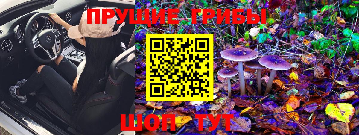 Галлюциногенные грибы MAGIC MUSHROOMS Будённовск