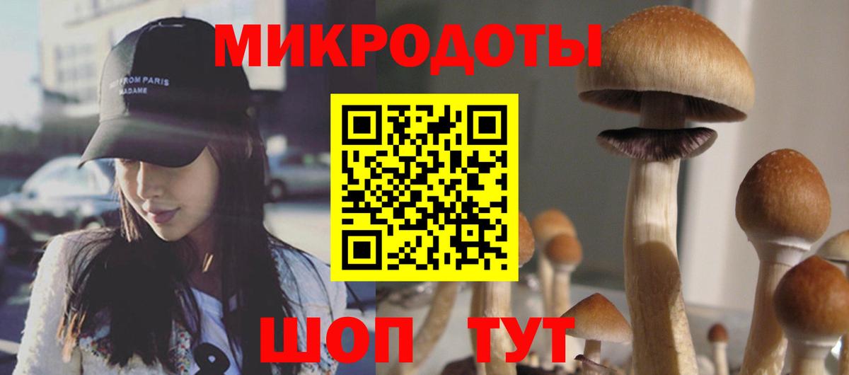 Псилоцибиновые грибы Psilocybine cubensis Будённовск
