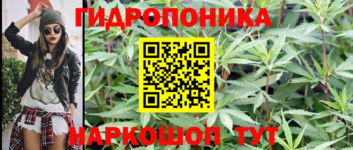Каннабис марихуана  Конопля ГИДРОПОН  Будённовск 
